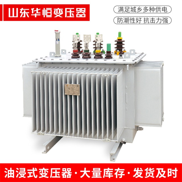 S13-10000/35泰安泰安泰安电力变压器